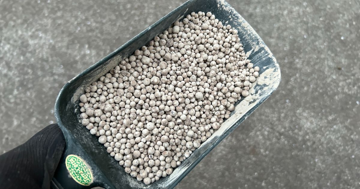 カルスNC-Rのデメリットはあるの？正しい使い方と注意点を解説