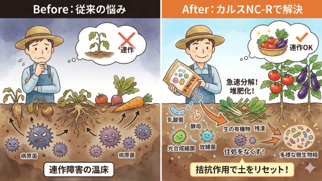 連作障害を気にしないおーしん流の土作り