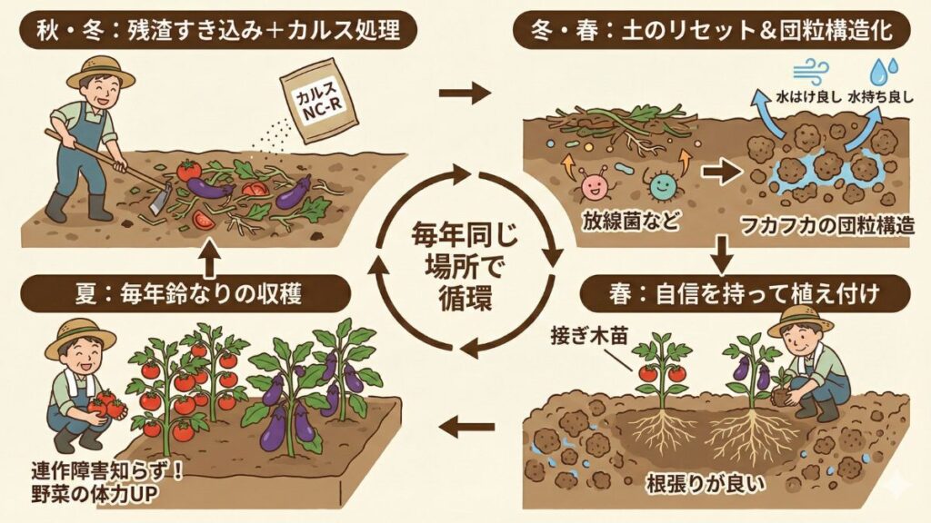 トマトやナスも同じ場所で毎年収穫