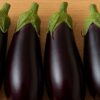 ナスの植える時期と栽培のコツを初心者向けに解説