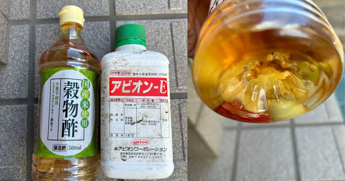 家庭菜園の虫除けに酢は効く？作り方と野菜が元気になる使い方