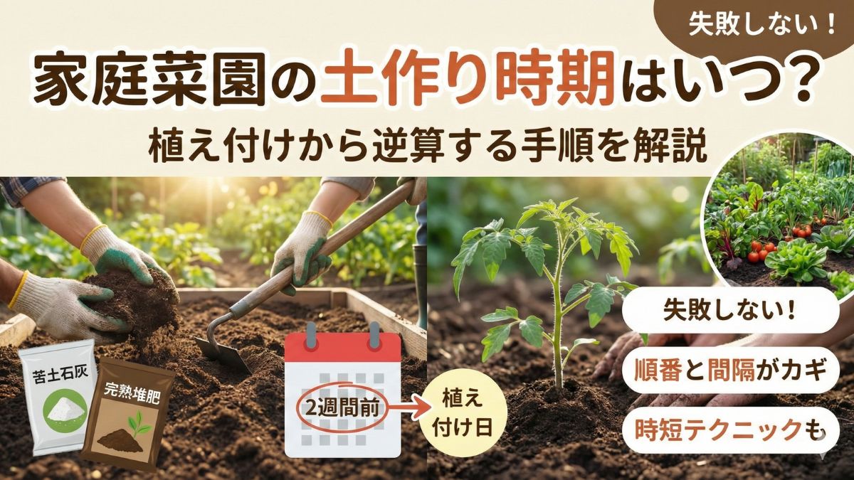 家庭菜園の土作り時期はいつ？植え付けから逆算する手順を解説