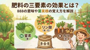肥料の三要素の効果とは？8-8-8の意味や葉実根の覚え方を解説