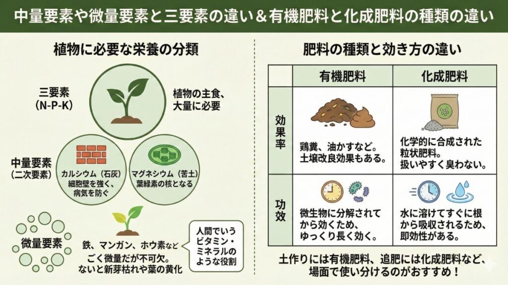 中量要素や微量要素と三要素の違い