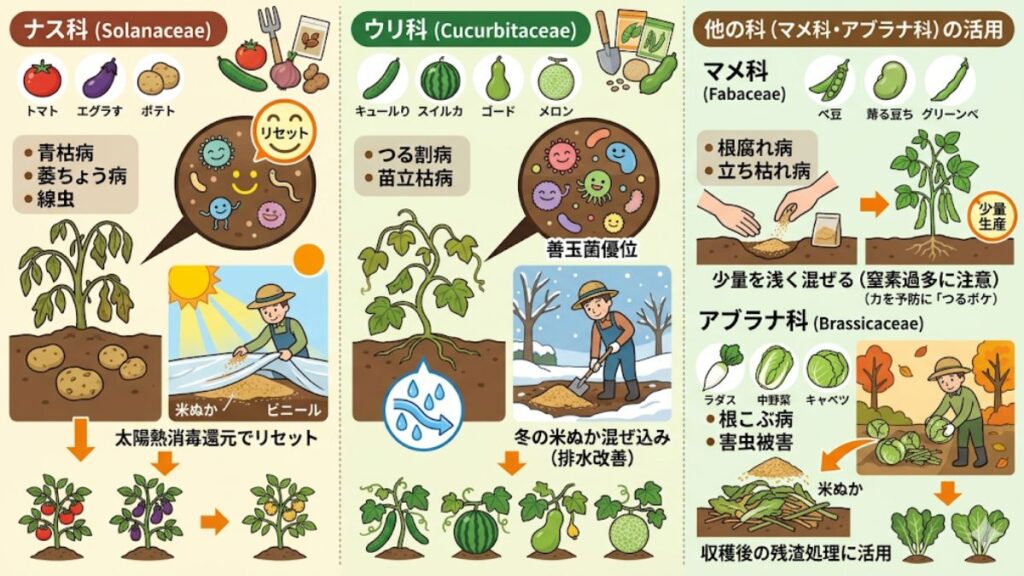 ナス科やウリ科など野菜別の具体的な適応戦略