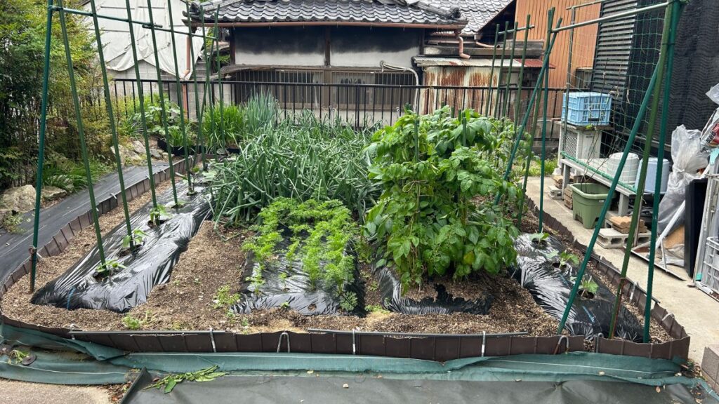 おーしん菜園に学ぶ機能的な家庭菜園のデザイン例の実践
