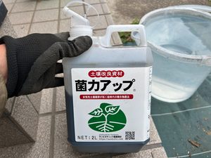 おーしん菜園で菌力アップを使用するため水と一緒に準備している様子