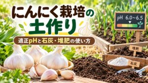 にんにく栽培の土作りと適正pH6.0〜6.5、石灰・堆肥の使い方を解説するアイキャッチ画像